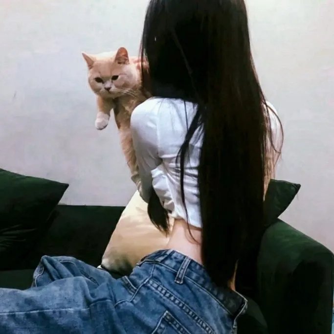 南拳蔡李佛粤语